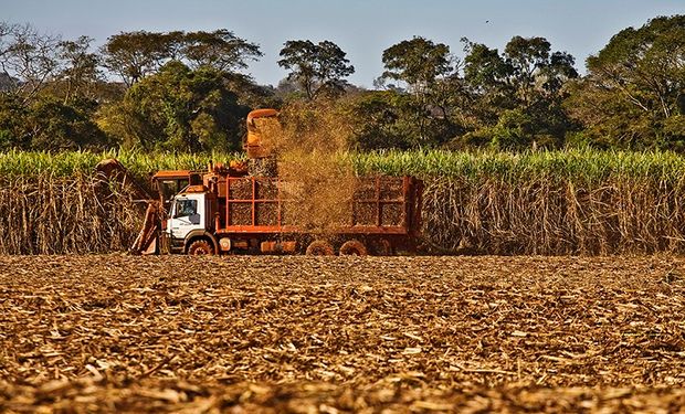 Em 2022, até 1º de dezembro, a moagem atingiu 531,93 milhões de toneladas. (foto - Unica)