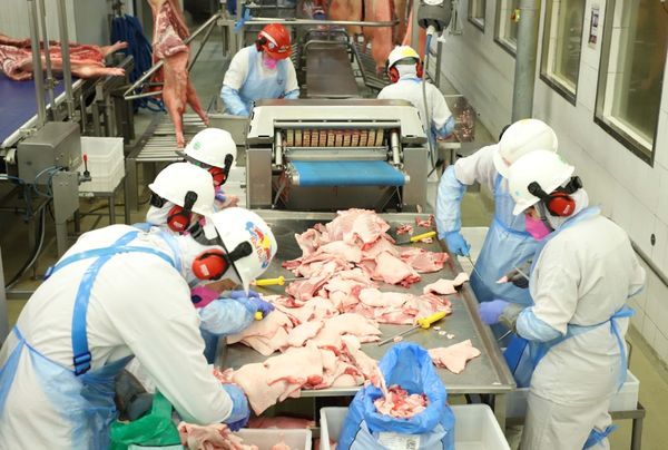 Linha de produção em frigorífico brasileiro de carnes voltadas à exportação.