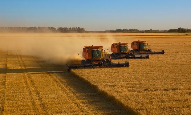 Brasil pode ser autossuficiente em trigo em 10 anos