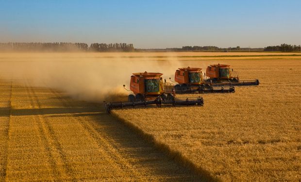 Negociações do cereal estão em ritmo lento no mercado interno. (foto - Getty Image)