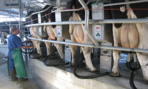 Los recortes en los precios de la leche al productor, junto con supertasas en la Unión Europea, frenrían el crecimiento de la producción de leche