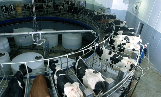 Producción láctea: hay perspectivas de crecimiento para 2021