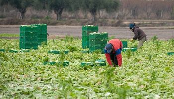 Buenos Aires busca abrir el mercado de China para comercializar frutas y hortalizas 