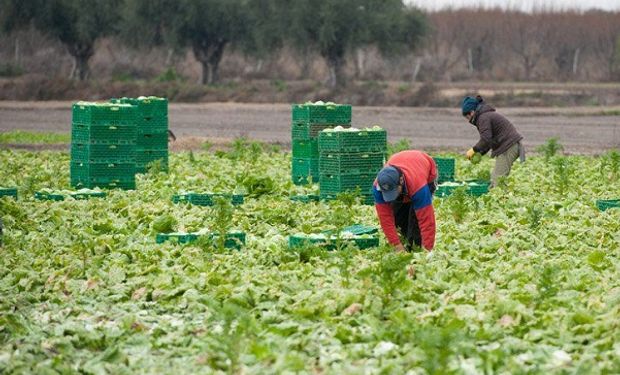 Buenos Aires busca abrir el mercado de China para comercializar frutas y hortalizas