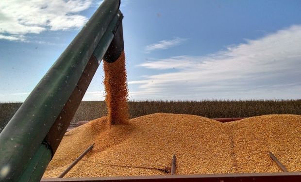 Santa Fe registra la participación del estado sobre la renta agrícola más alta en trigo y girasol.