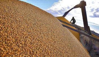 Producción agrícola sería de 103,5 M de Tn.