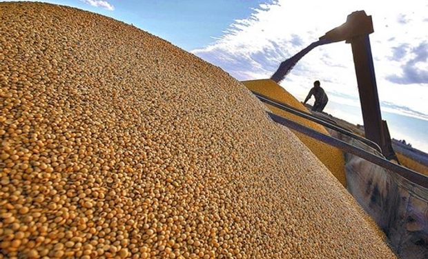 Producción agrícola sería de 103,5 M de Tn.