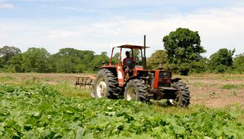 Venezuela busca incrementar la producción agrícola