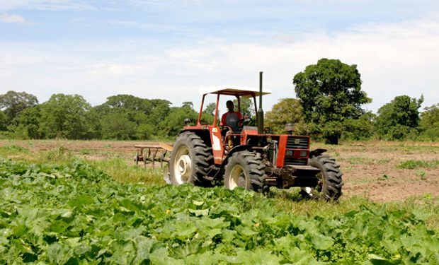 Venezuela busca incrementar la producción agrícola