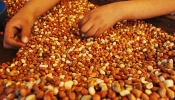 Empresarios de la India están interesados en productos agrícolas de Córdoba
