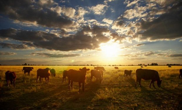 Producción del agro récord en el Uruguay