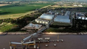 Aceite de soja: creció un 73% la producción