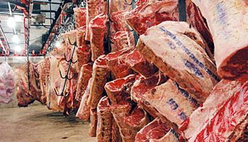 Producción de carne en 2015 continuaría estable
