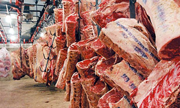 Producción de carne en 2015 continuaría estable