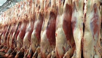 En 2018 el escenario más probable es una caída de la producción de carne argentina