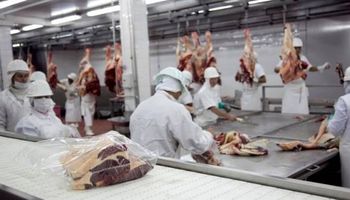 Producción de carne aumentó un 6,8% en septiembre