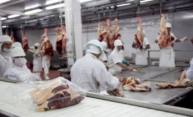 Las exportaciones de carne cayeron en agosto un 25,5%.