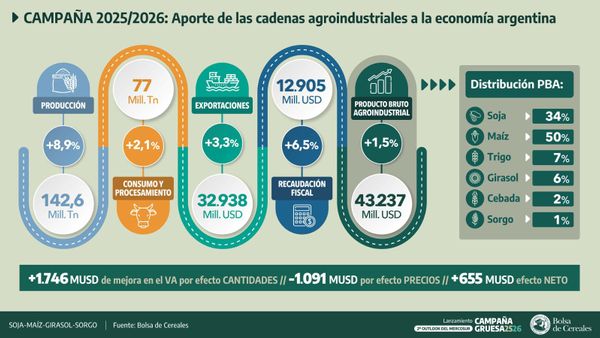 granos 2025 2026