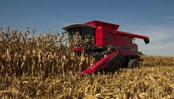 Monsanto cree que se puede duplicar la producción local