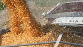 Producción de granos será menor en 2016
