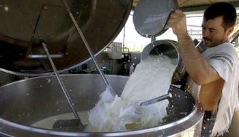 El valor de la leche medido en moneda maíz cayó más de 60% en el último año