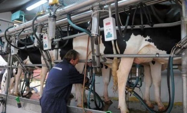 Según estimaciones del Movimiento CREA la producción de leche en 2017 va a ser menor que el año anterior.
