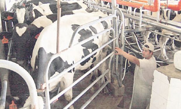 El estancamiento de la producción de leche en la Argentina se hace más visible si se miran los últimos años.