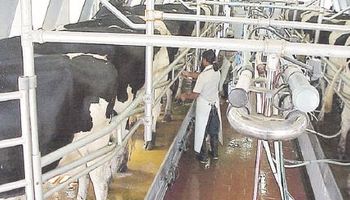 Producción de leche subió sólo un 5% en 15 años
