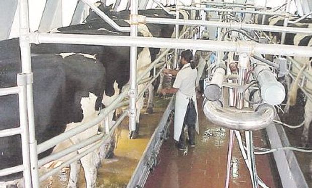 La crisis del sector, agravada en 2001-2002, provocó sucesivas caídas en los volúmenes de leche producidos.
