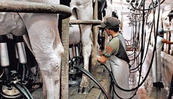 Producción de leche caería por tercer año consecutivo