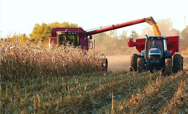 La Bolsa de Cereales de Buenos Aires mantiene la proyección de producción en 25.000.000 de toneladas para la campaña en curso.