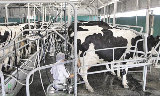 El año pasado la producción de leche cruda cayó 2% con una tendencia decreciente que se mantuvo este año.