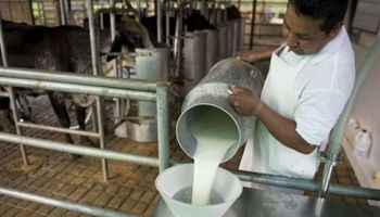 Unión Europea liberaliza el mercado de producción lechera