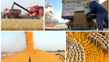 Argentina cada vez mejor como líder en el mercado mundial