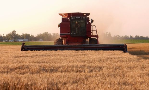 Estimó el informe Departamento de Agricultura de Estados Unidos.