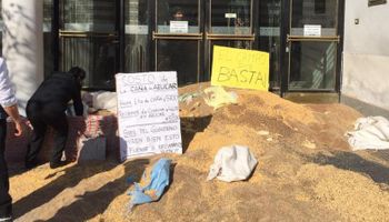 Protesta rural de tucumanos: tiraron granos en la AFIP