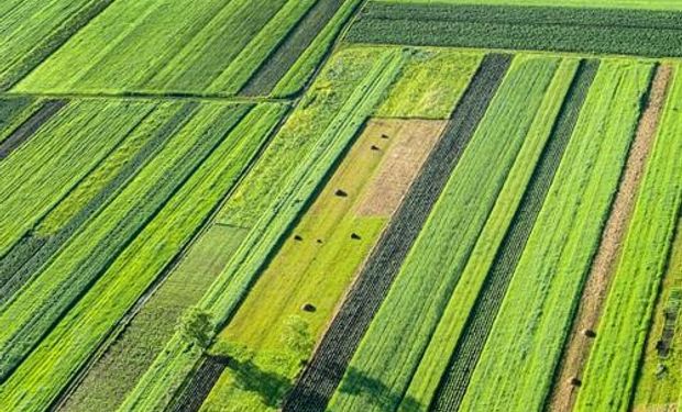 La idea de la realización de las Jornadas Aapresid parte de la necesidad de trasladar el conocimiento y toda la tecnología al campo, al accionar diario.