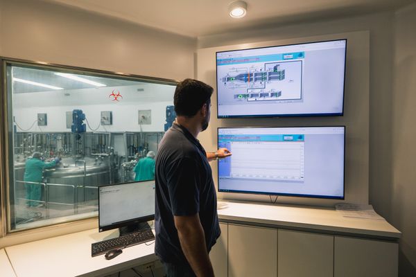 Producción vacuna aftosa