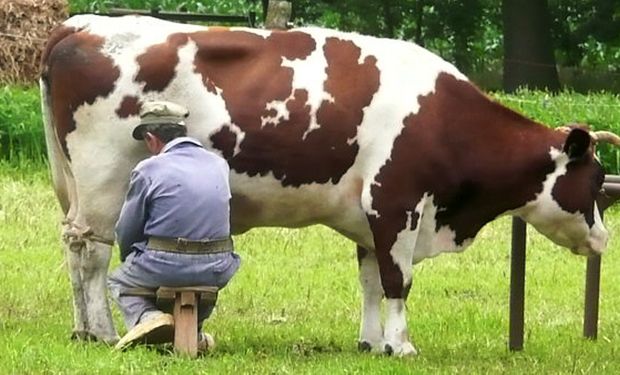 La intención es poner al alcance de los productores ganaderos un lugar donde observar un sistema que aplica tecnologías avanzadas y simples.