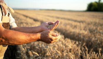 La crisis de natalidad cambia una premisa histórica del agro