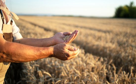 En el congreso de la International Farm Management Association realizado por primera vez en Argentina, referentes internacionales plantearon que el desafío ya no es aumentar volumen sino agregar calidad, gestión y valor en toda la cadena agropecuaria
