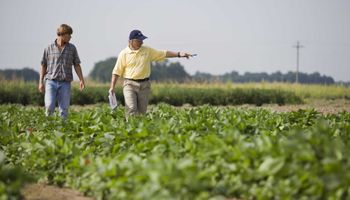 La confianza de los empresarios agropecuarios se recupera tras tocar un mínimo en noviembre