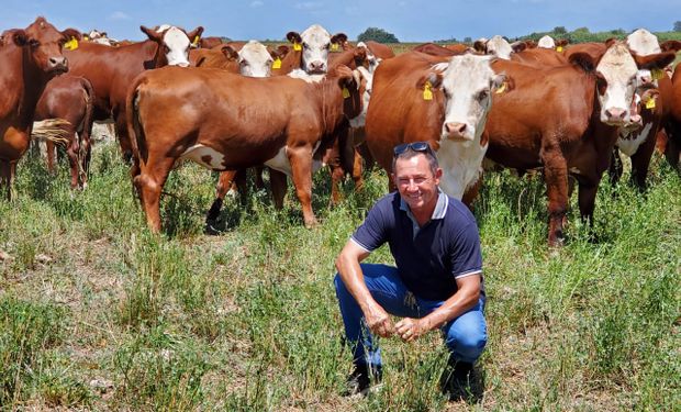 Carta abierta: el productor que transmitió su bronca contra dos ex dirigentes agropecuarios