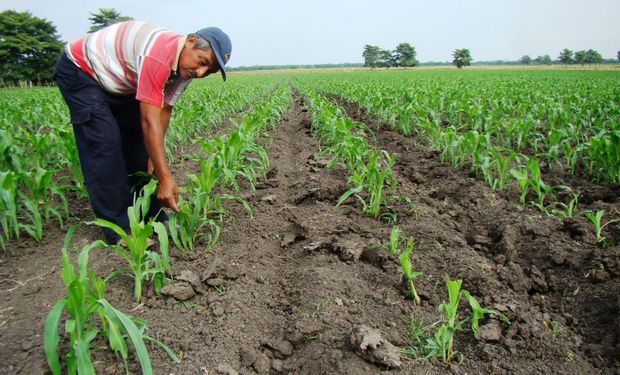 Para los productores agropecuarios no es sólo un incordio financiero de difícil cumplimiento: esconde el propósito de cobrar una cuota adicional sobre fines de 2015.