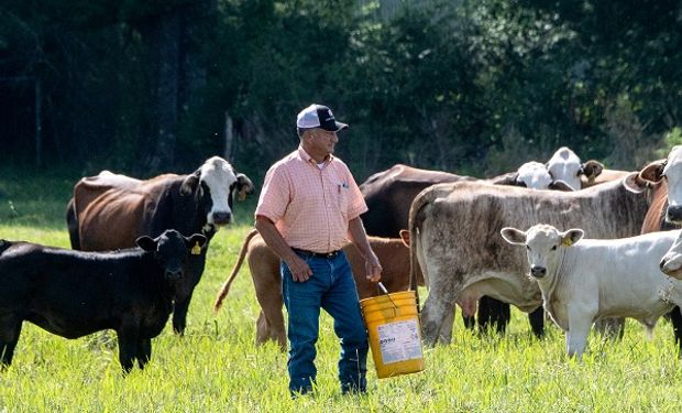 Carne: con la salida de Argentina, Estados Unidos ve una oportunidad "brillante" para los productores