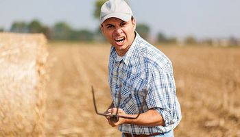 Alerta farmers: ni con subsidios logran cubrir los costos del trigo y se sienten como "un granjero enojado con un rastrillo"