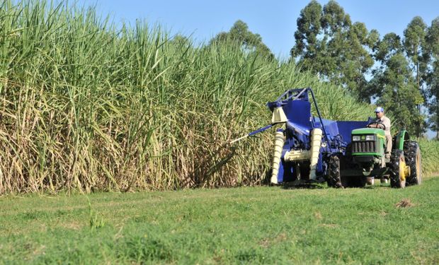 El sector de producción de azúcar y etanol de caña en el Noroeste argentino resulta indispensable para el desarrollo territorial de esa región.