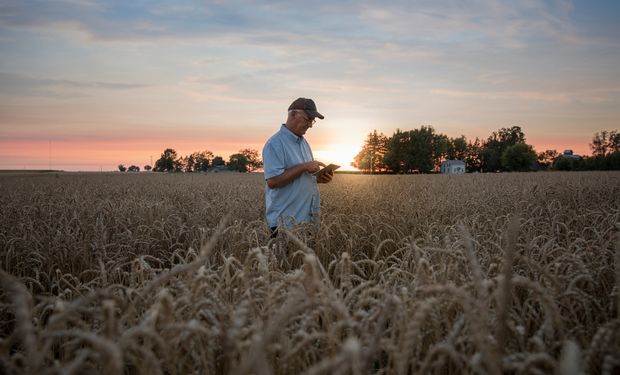 La clave que puede definir si la próxima cosecha récord vale mucho más: una revolución silenciosa que avanza en el campo argentino