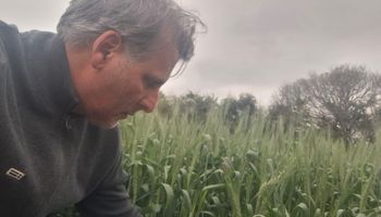 Día del Productor Agropecuario en Argentina: historias que reflejan el compromiso con la agricultura
