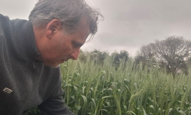 Día del Productor Agropecuario en Argentina: historias que reflejan el compromiso con la agricultura